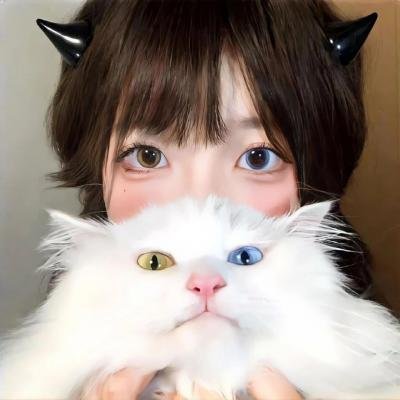 忍者与杀手二人组的日常生活