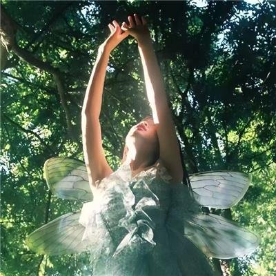 五十公里桃花坞第二季