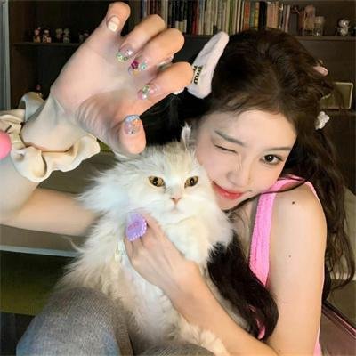 第28年的甲子园